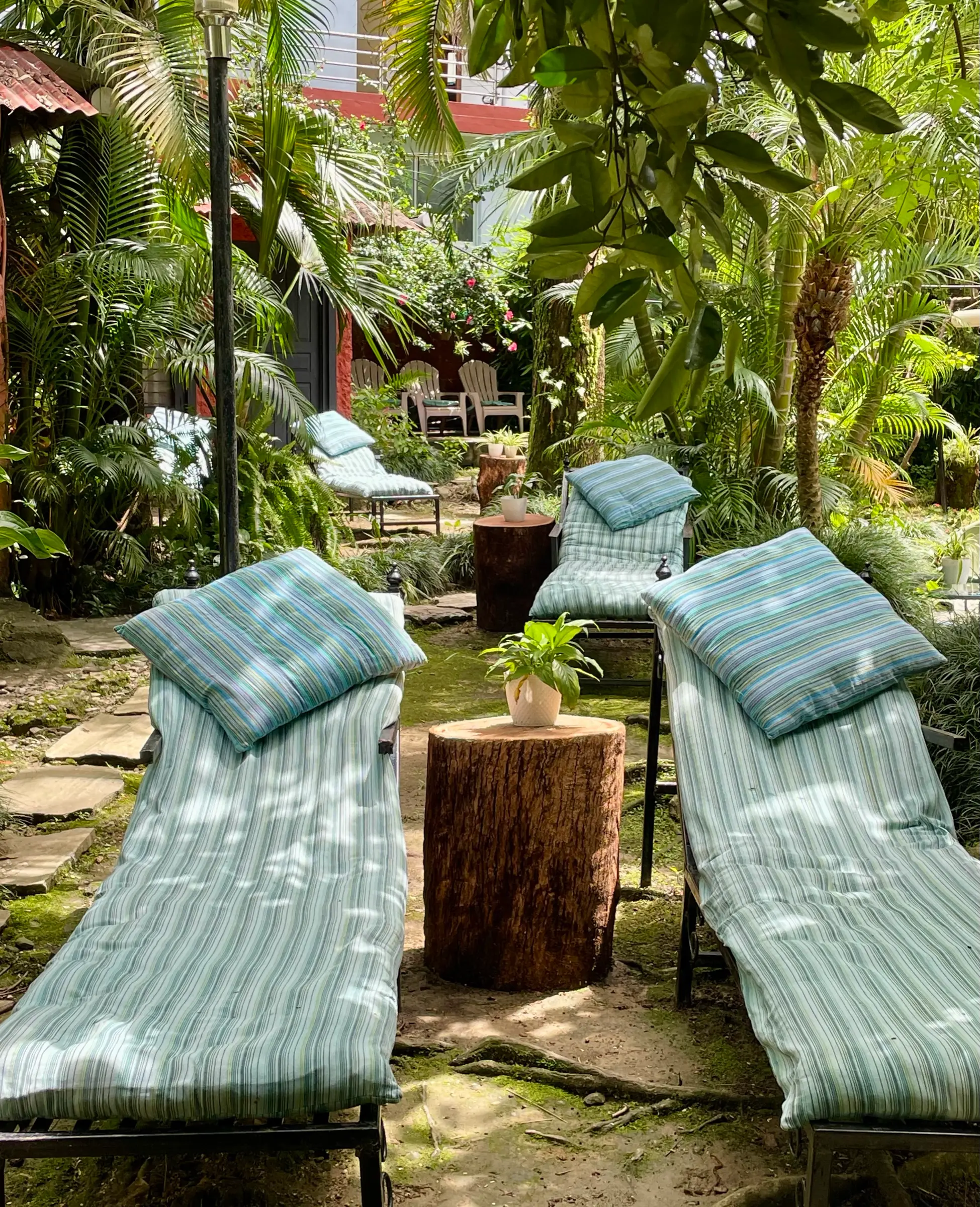 Sun loungers beneath the trees in the Jiva Spa garden